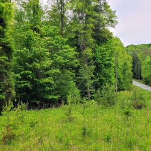 1,000 Ft of road front