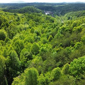 dji_fly_20250510_140050_492_174683512718