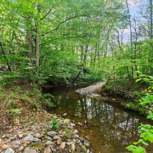 4067 dickerson mill rd_046