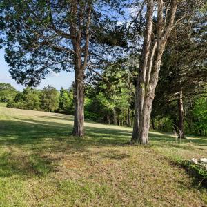 4067 dickerson mill rd_076