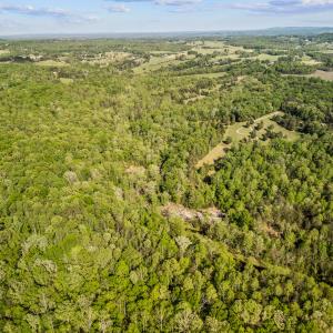 4067 dickerson mill rd_109