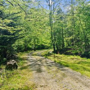 4067 dickerson mill rd_049