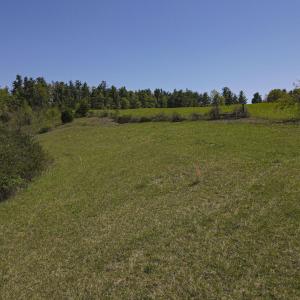 DRONE_19
