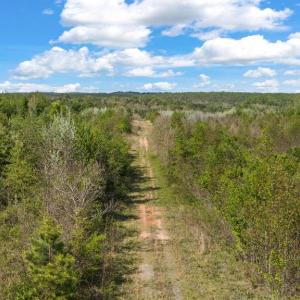 Photo #6 of MONROVIA RD, ORANGE, VA 38.3 acres