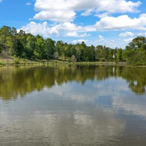 Photo #24 of MONROVIA RD, ORANGE, VA 38.3 acres