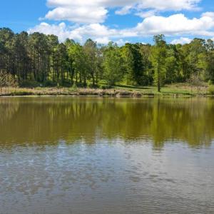 Photo #25 of MONROVIA RD, ORANGE, VA 38.3 acres