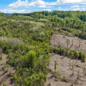 Photo #38 of MONROVIA RD, ORANGE, VA 38.3 acres