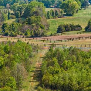 Photo #41 of MONROVIA RD, ORANGE, VA 38.3 acres