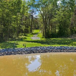 Photo #51 of MONROVIA RD, ORANGE, VA 38.3 acres