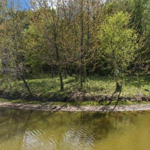 Photo #4 of MONROVIA RD, ORANGE, VA 38.3 acres