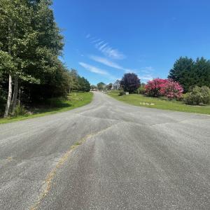 IMG_0811
