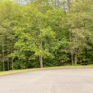 01-Lot 15_16 Independence Ln_01