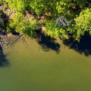 Photo #13 of MINOR RD, BUMPASS, VA 19.7 acres