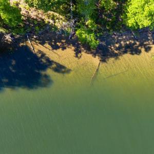 Photo #14 of MINOR RD, BUMPASS, VA 19.7 acres