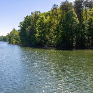 Photo #11 of MINOR RD, BUMPASS, VA 19.7 acres