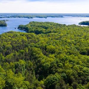 Photo #16 of MINOR RD, BUMPASS, VA 19.7 acres