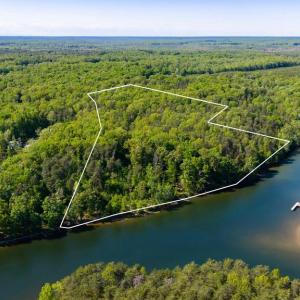 Photo #1 of MINOR RD, BUMPASS, VA 19.7 acres
