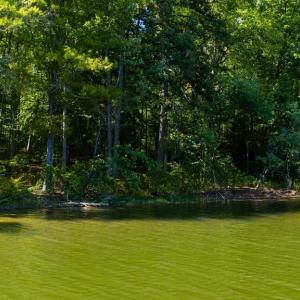 Photo #12 of MINOR RD, BUMPASS, VA 19.7 acres