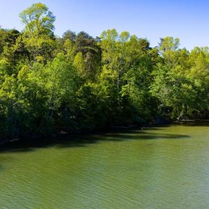 Photo #10 of MINOR RD, BUMPASS, VA 19.7 acres