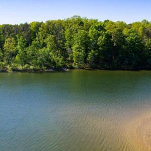 Photo #18 of MINOR RD, BUMPASS, VA 19.7 acres