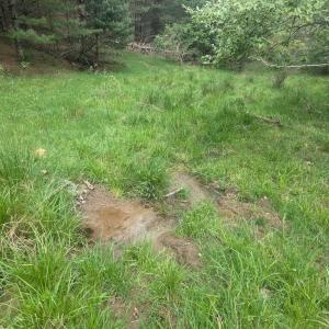 PXL_20250503_154441986