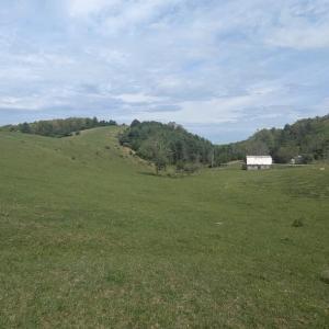 PXL_20250503_152233926