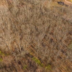 DJI_20250301151042_0401_D