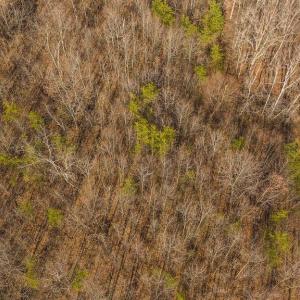 DJI_20250301151036_0400_D