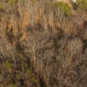 DJI_20250301151050_0402_D
