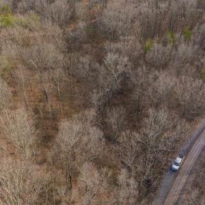 DJI_20250301150921_0395_D