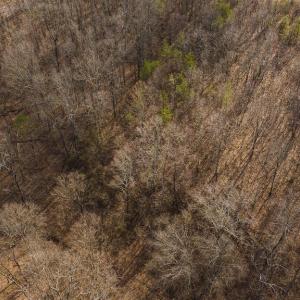 DJI_20250301150934_0396_D