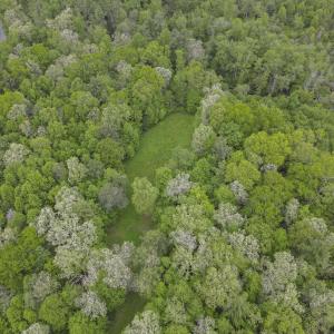 DRONE_1