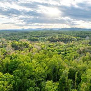 Photo #3 of 1 LOUISE LN, RAPIDAN, VA 64.1 acres