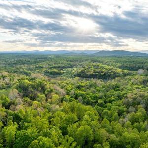 Photo #4 of 1 LOUISE LN, RAPIDAN, VA 64.1 acres