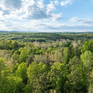 Photo #5 of 1 LOUISE LN, RAPIDAN, VA 64.1 acres