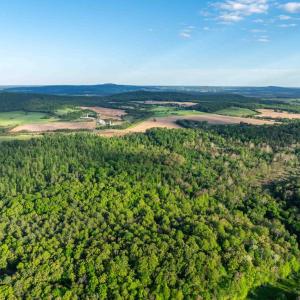 Photo #6 of 1 LOUISE LN, RAPIDAN, VA 64.1 acres