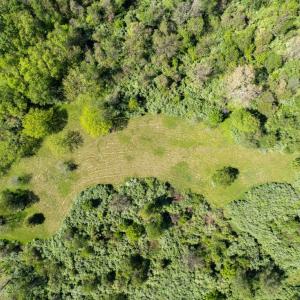 Photo #13 of 1 LOUISE LN, RAPIDAN, VA 64.1 acres