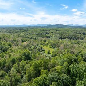 Photo #2 of 1 LOUISE LN, RAPIDAN, VA 64.1 acres