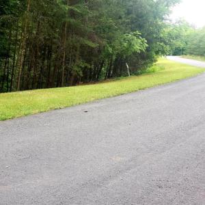 road view 2