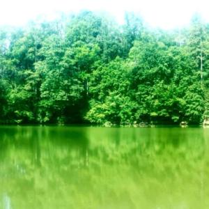 lake