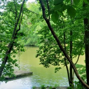 lake 2