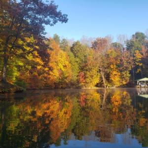 lake 5