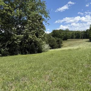 Right side property view from road