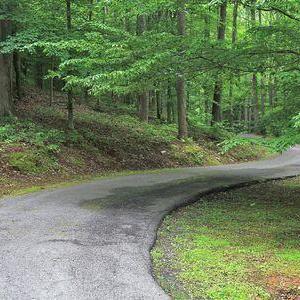 Meandering Drive