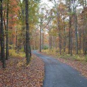 Paved Road