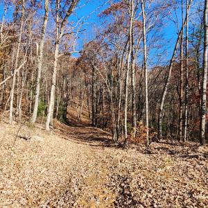 0 Briar Mountain Road