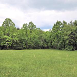 2.469 Acre Lot