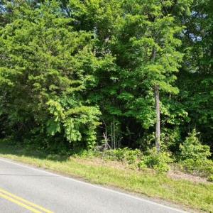 Wooded Acreage