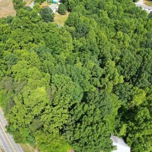 Wooded Acreage