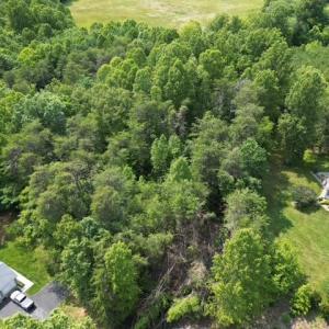 Wooded - Nice Privacy